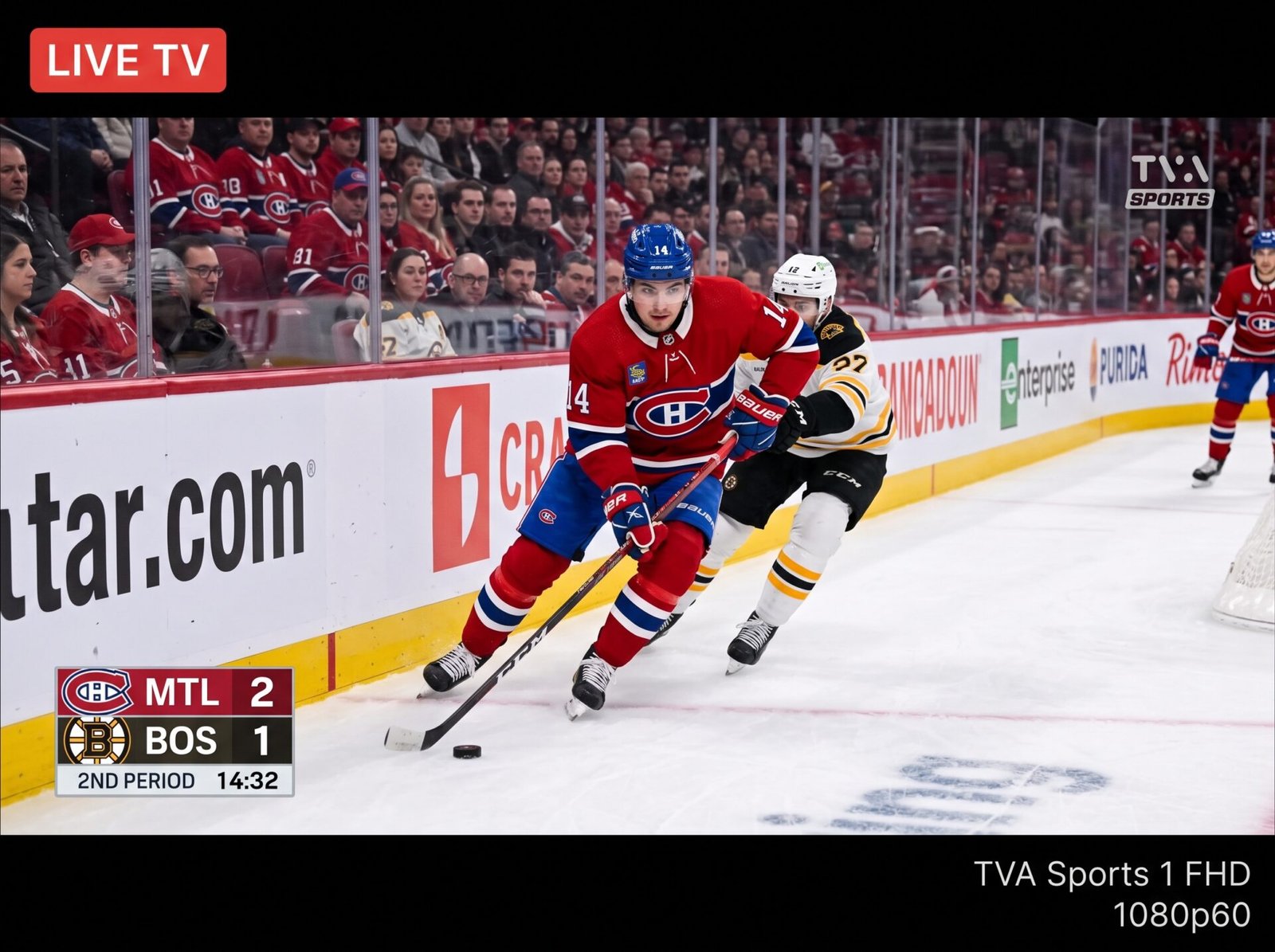 Main Live Stream